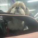 동물의왕국 동물병원 이미지