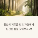 화순적벽택시(합) | 몸과 마음이 쉬어가는 곳: 국립화순치유의숲 완벽 가이드(편백숲,온열치유)