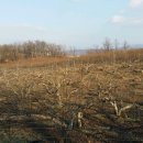 두정역서1길 이미지