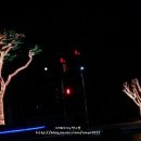 심원소나무불한증막 이미지