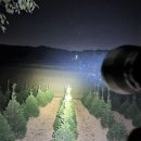 스쿠버 잠수용 수중렌턴 15000광 엄청밝아 이미지