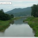 동촌천 Daum카페