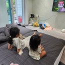 히든 포레 이미지