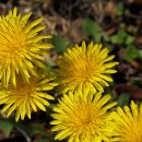 한강신도시호수공원 이미지