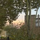 sunny house | [영국일상] #33 선택적 백수, 10월의 휴식, 작은 선물들(+ House of Sunny 자켓 후기)