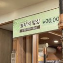 뜰쌈밥 | 화성 향남 : 농부의뜰, 쌈밥맛집에서 점심 먹고 온 후기 (농부의 밥상 주문)