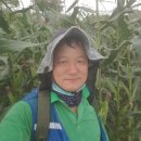 안말농장 이미지