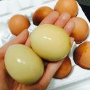 람보헬스 이미지