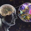 서울강민신경과의원 이미지