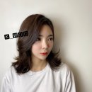 권우헤어