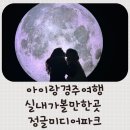 우림미디어 | 경주 테마파크 정글미디어파크 경주 아이랑 가볼만한 곳 실내