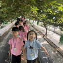 이레목장 1 이미지