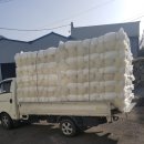 대성소프트 이미지