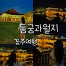 동궁 | 경주 동궁과 월지 야경 후기 점등 시간·산책 코스·사진 포인트