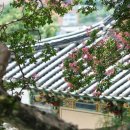 의령향교 이미지