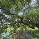 서면행정복지센터 대회의실 이미지