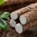 위너스케어 이미지