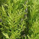 아델라농장 이미지