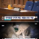 하루동물병원 이미지