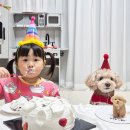 너를닮은케이크 | 대전 강아지 케이크, 너를닮은케이크 너무 귀여워♥