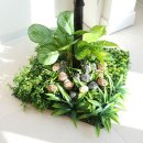 솔향인테리어 이미지