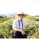 우리씨드