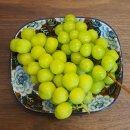 저그머그 | 라니아-하트볼/티팟/접시/곰얼굴접시/미니캐서롤/트랙접시/밀크저그/항아리머그/사각접시볼/청포도후기