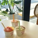 제멜리 젤라또 GEMELLI GELATO | [서울/제멜리젤라또] 잠실 송리단길 젤라또 아이스크림 맛집, 석촌호수 디저트카페 추천!