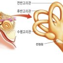 훈토스 네이버블로그