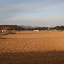 대전해수욕장1 이미지