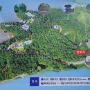 월등도캠핑장 이미지