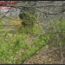 예산읍수철리보건진료소 이미지