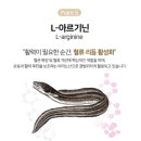 젊은약사들 | 원데이닥터 세지오, 젊은 남편을 위한 활력 충전 후기!