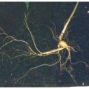 (주)태극에너지 이미지