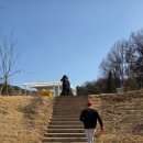 석정사슴 이미지