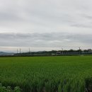 계정농장 이미지