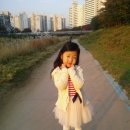 천일정수기 Daum카페