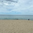 감나무집민박 이미지