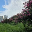 GS25(울산농소점) 이미지