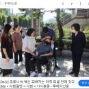 바비독 이미지