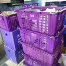 하나익스프레스 이미지