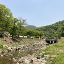 장흥숲길캠핑장 | [경기도 양주시] 장흥숲길캠핑장