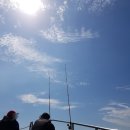 킹콩쭈꾸미 이미지