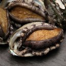 완도참전복 이미지