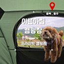 충북 충주 아직은 신생 캠핑장 이른 아침 캠핑장 파쇄석 명당 사이트 추천