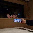 [여행]일본 도쿄 여행 4박 5일-1편