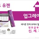 신*세 Daum카페
