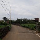 대흘2리경로당 이미지