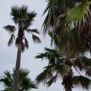 비양도모텔 이미지