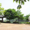 세창식품 이미지